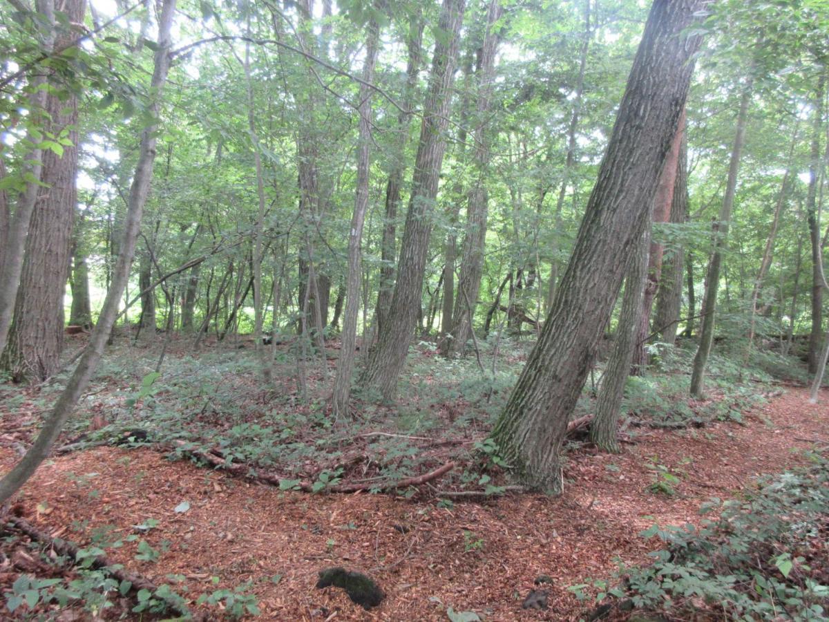 Dogruncafe & Resorts Jennie West-Karuizawa Miyota Eksteriør bilde